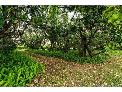 23455 SW 157th Ave, Homestead, FL 33031 - photo 5