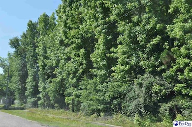 TBD Lots 1-7 Bundy St, Clio, SC 29525 - photo 4