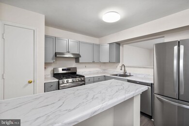 706 W Cherry Blossom Way, Baltimore, MD 21201 - photo 5