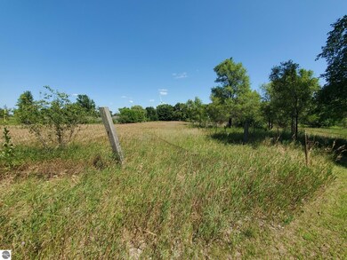 0 N Ransom Rd, Wheeler, MI 48662 - photo 4