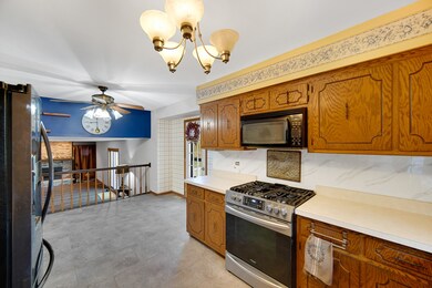 13226 Farm View St, Homer Glen, IL 60491 - photo 6