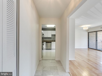 11323 Commonwealth Dr unit 204, Rockville, MD 20852 - photo 3