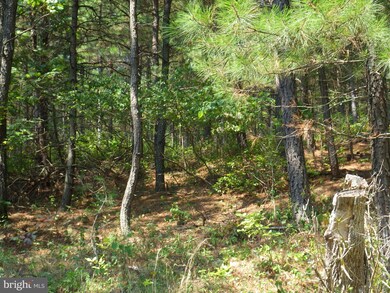 3269 Black Oak Rd, Warfordsburg, PA 17267 - photo 6