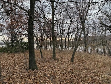 21001 Vergus Ave, Spring Lake Township, MN 55372 - photo 3