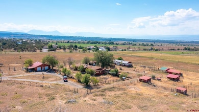 25186 Cedar Mesa Rd, Cedaredge, CO 81413 - photo 2