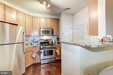Silverton Condominiums unit 325, Silver Spring, MD 20910 - photo 4