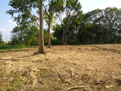 3630 Nita St, Houston, TX 77051 - photo 3