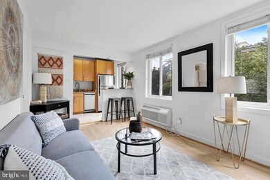 2001 Allen Place NW unit 203, Washington, DC 20009 - photo 3