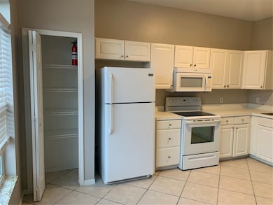 315 Therese St, Davenport, FL 33897 - photo 6