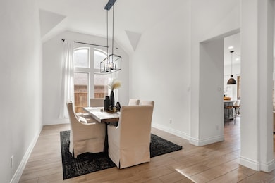 4017 Palomino Rd, Aubrey, TX 76227 - photo 7