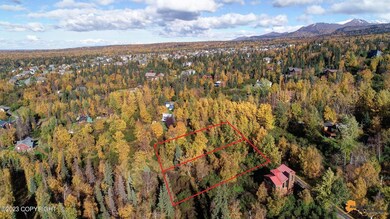 L9 & L10 Feodosia Dr, Anchorage, AK 99516 - photo 6