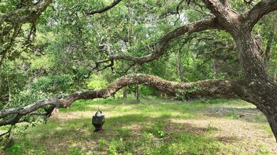 17718 Tranquil Ln, Cat Spring, TX 78933 - photo 6