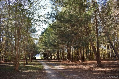 Tree lined entrance - cedars, magnolias, crepe myr