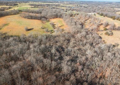 DJI_20241219091258_0012_D