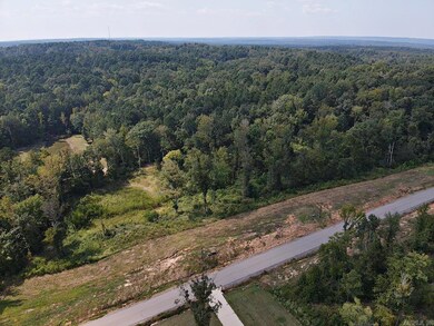 133 Shepherd Loop Dr, Arkadelphia, AR 71923 - photo 5