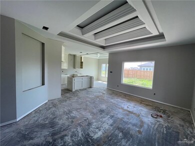 819 Hawk St, Alamo, TX 78516 - photo 4