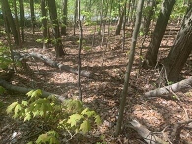 L67 Bay Rd, Amherst, MA 01002 - photo 2