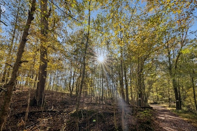 7489 Shoals Branch Rd, Primm Springs, TN 38476 - photo 4