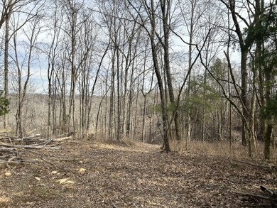 0 Greenfield Rd, Prospect, TN 38477 - photo 2