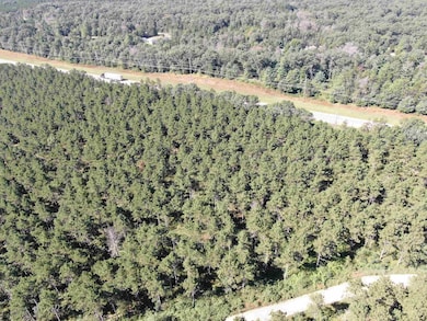 77 AC State Highway 13 Acres, Nekoosa, WI 54457 - photo 7