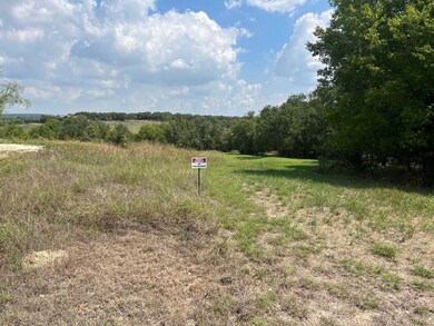 Lot 25 Goldfinch Ln, Weatherford, TX 76088 - photo 7