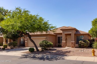 Kingbird (3).jpg-SMALL