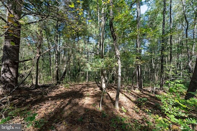 0 Orange Rd unit VAMA2002476, Pratts, VA 22731 - photo 7