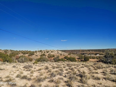 Parcel 1 W Shumway Rd, Taylor, AZ 85901 - photo 3