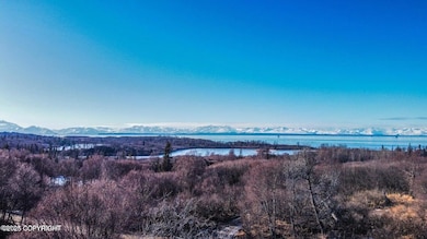 L5 B4 Blockade Glacier Rd, Nikiski, AK 99611 - photo 7