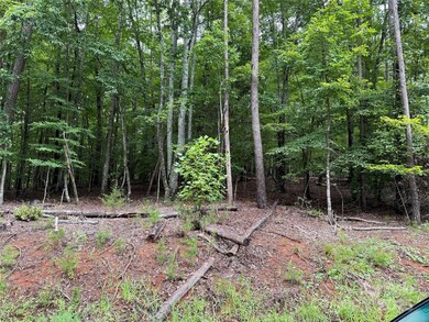 00 Woodchuck Ln unit 110, Marion, NC 28752 - photo 3