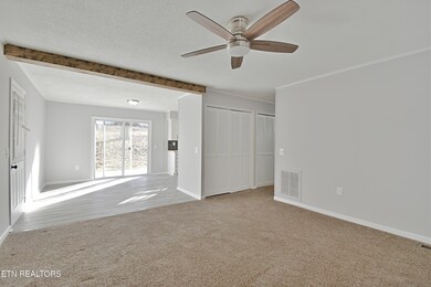 929 Highland Ave, Loudon, TN 37774 - photo 6