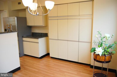 5501 Seminary Rd unit 505S, Baileys Crossroads, VA 22041 - photo 4