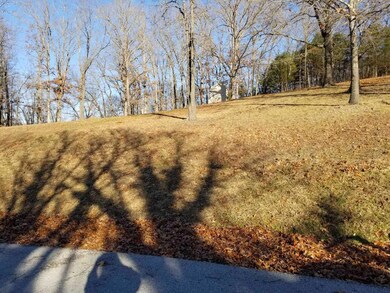 47 Canyon Forest Cir, Kimberling City, MO 65686 - photo 6