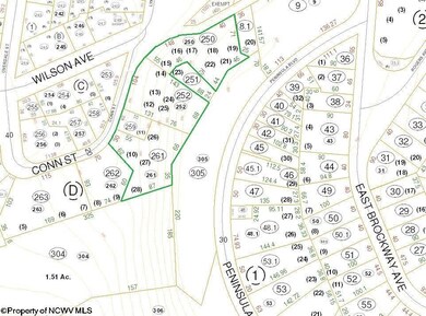 401 Conn St, Morgantown, WV 26501 - photo 4