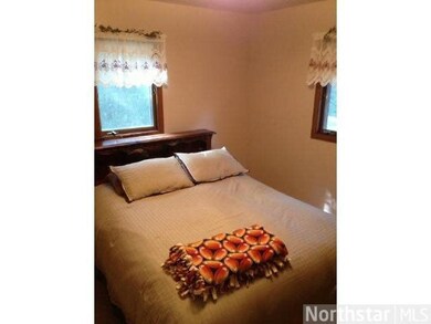 29057 250th St, Long Prairie, MN 56347 - photo 4