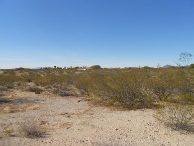 22410 W El Grande Trail unit 41, Wickenburg, AZ 85390 - photo 5