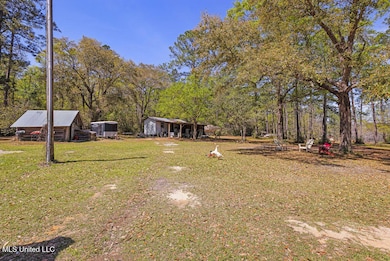 3110 Dogpatch Rd, Kiln, MS 39556 - photo 4