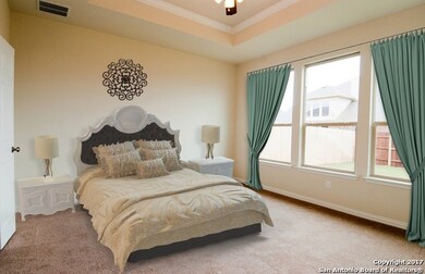 11202 Rock Daisy, Helotes, TX 78023 - photo 6