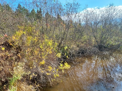 0 Burrows Lake Rd, Little Rice, WI 54487 - photo 2