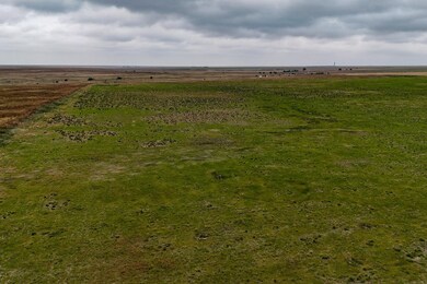 160 +/- Acres Off 22 Rd, Rolla, KS 67954 - photo 7