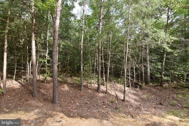 20975 Greenwell Way, Leonardtown, MD 20650 - photo 7