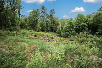 3454 S Shore Rd, Corinth, NY 12822 - photo 4