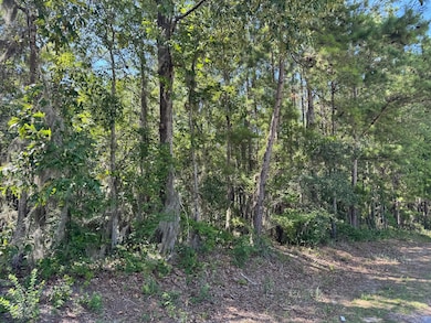 Tract 2 Tabernacle Rd, Eutawville, SC 29048 - photo 2