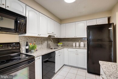 13951 Big Yankee Ln, Centreville, VA 20121 - photo 5