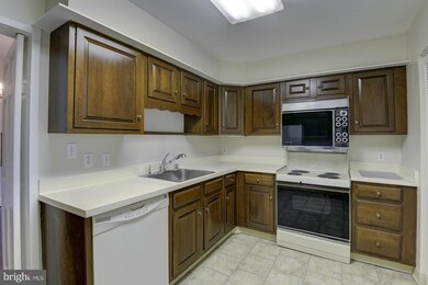 8101 Connecticut Ave unit N504, Chevy Chase, MD 20815 - photo 7