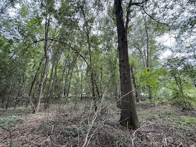 0 Live Oak Ln unit LotWP001, Barnwell, SC 29812 - photo 4