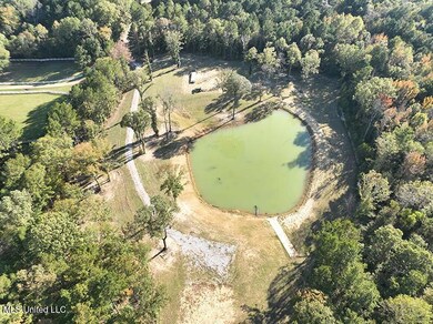 DJI_0699