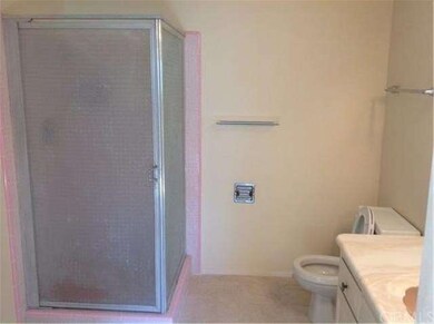 View of the master bathroom.