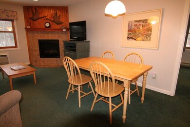 164 Deer Park Dr unit 166D, Woodstock, NH 03262 - photo 5