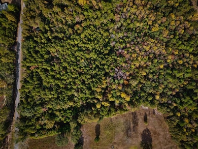 7.32 Ac Oscar Lee Rd, Poplarville, MS 39470 - photo 3